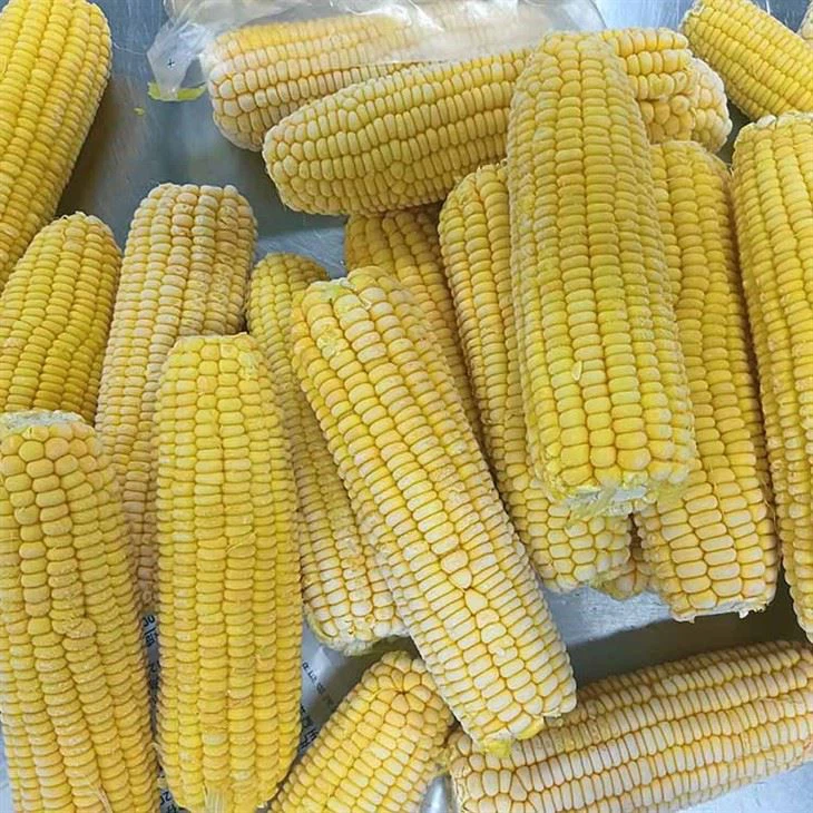 Fresh frozen sweet corn