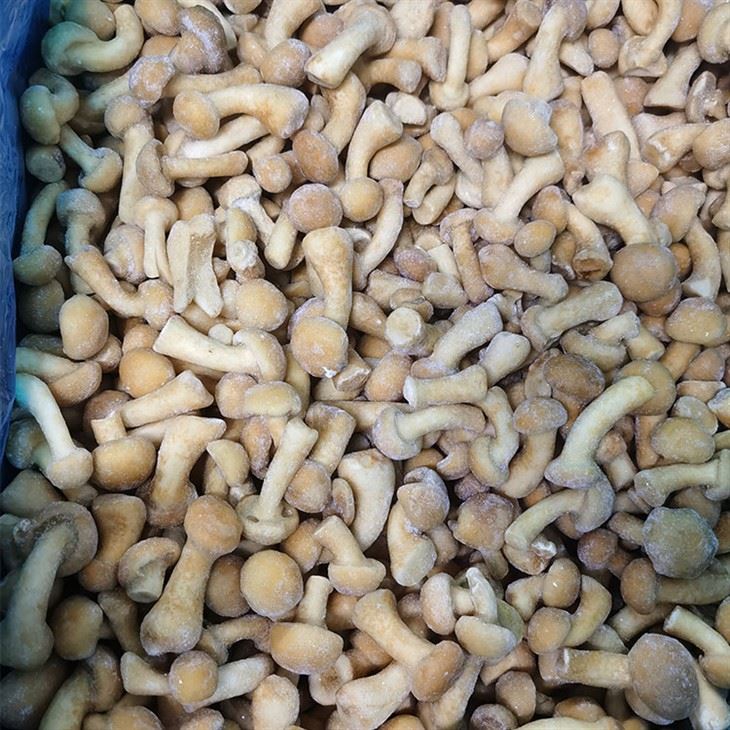 Frozen Nameko Mushroom