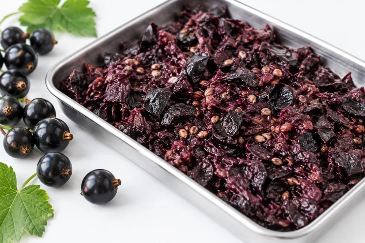 Illustrative blackcurrant press residue contains purple skins, pulp and visible seeds.